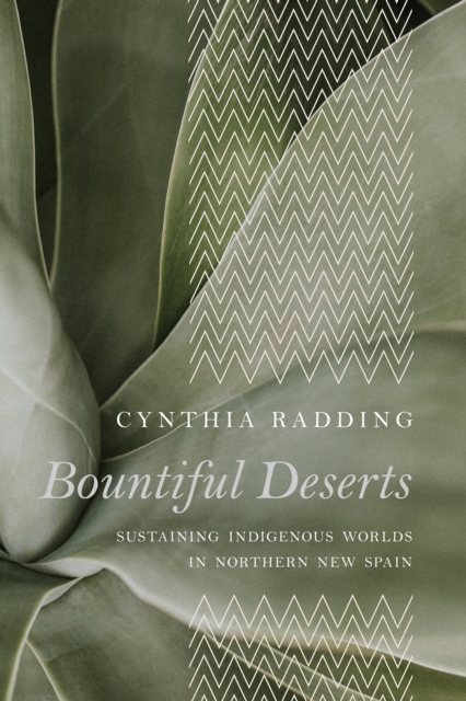 Bountiful Deserts : Sustaining Indigenous Worlds in Northern New Spain, Hardback Book