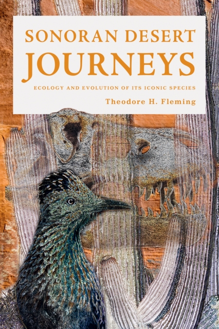 Sonoran Desert Journeys : Ecology and Evolution of Its Iconic Species, EPUB eBook