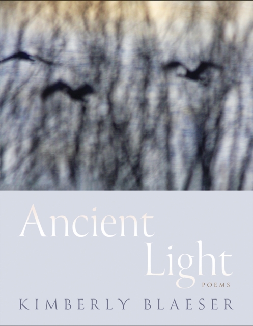 Ancient Light : Poems, Paperback / softback Book