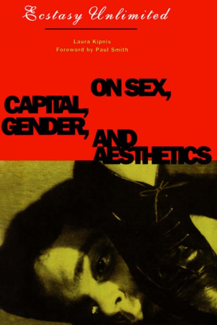 Ecstasy Unlimited : On Sex, Capital, Gender, and Aesthetics, Paperback / softback Book