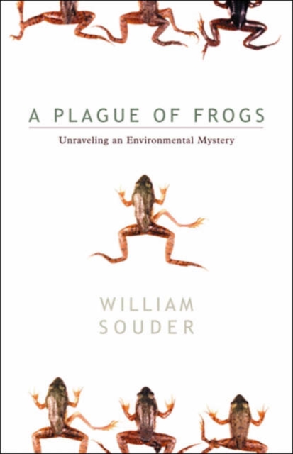 Plague Of Frogs : Unraveling An Environmental Mystery, Paperback / softback Book