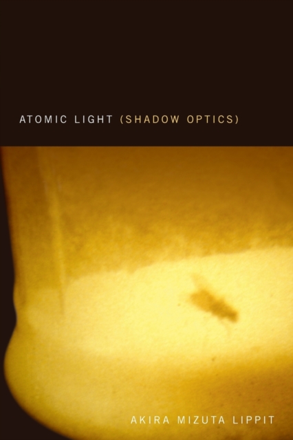 Atomic Light (Shadow Optics), Paperback / softback Book