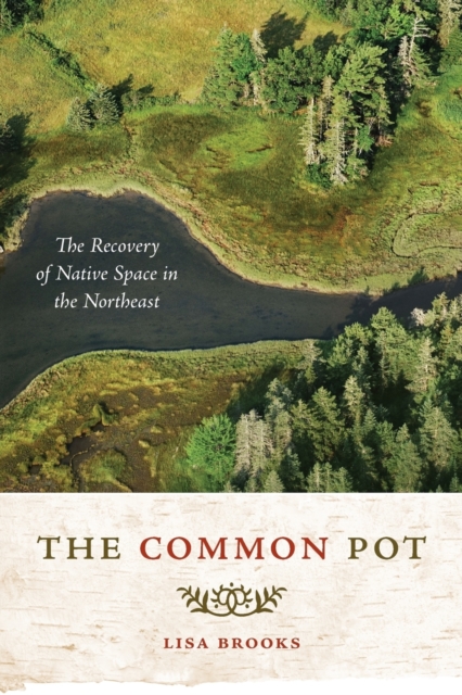 The Common Pot : The Recovery of Native Space in the Northeast, Paperback / softback Book
