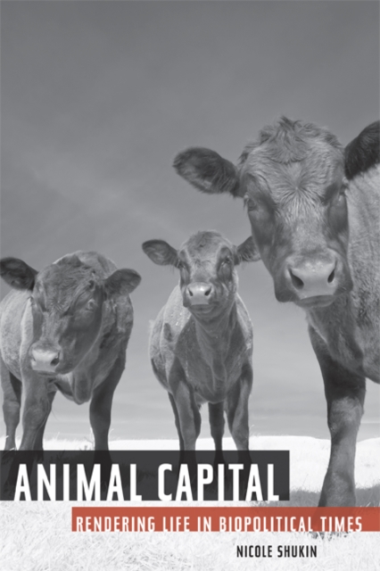 Animal Capital : Rendering Life in Biopolitical Times, Paperback / softback Book