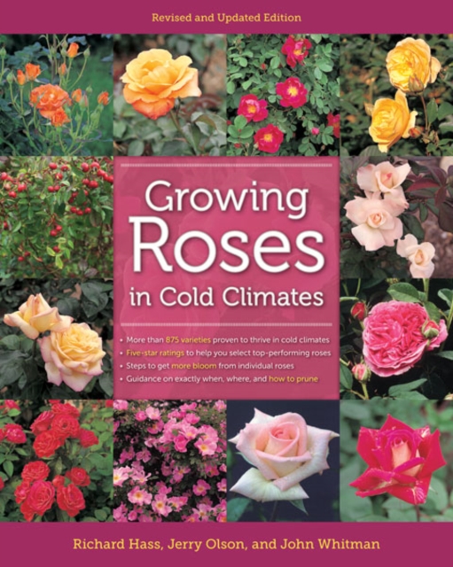 Growing Roses in Cold Climates : Revised and Updated Edition, Paperback / softback Book