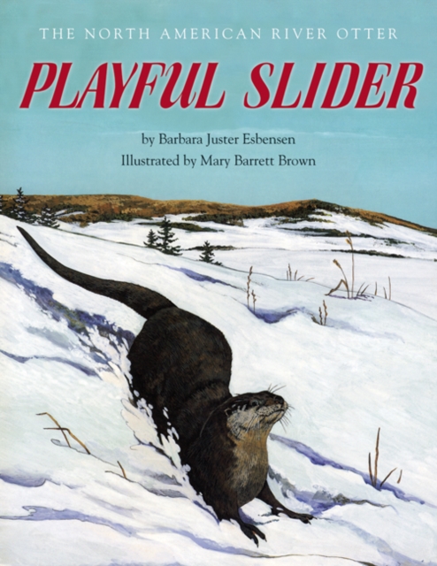 Playful Slider : The North American River Otter, Paperback / softback Book