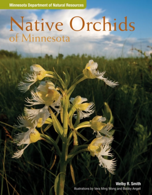 Native Orchids of Minnesota, Paperback / softback Book