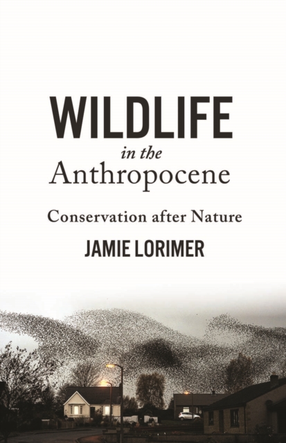 Wildlife in the Anthropocene : Conservation after Nature, Paperback / softback Book