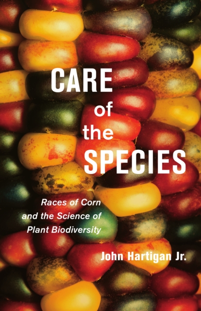Care of the Species : Races of Corn and the Science of Plant Biodiversity, Hardback Book