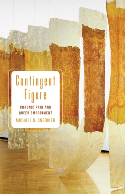 Contingent Figure : Chronic Pain and Queer Embodiment, Hardback Book