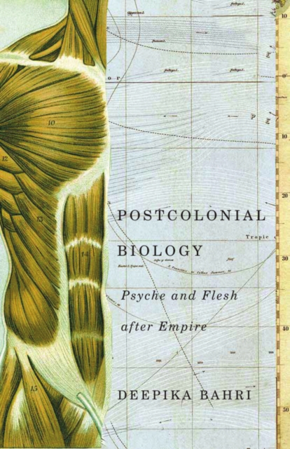 Postcolonial Biology : Psyche and Flesh after Empire, Paperback / softback Book