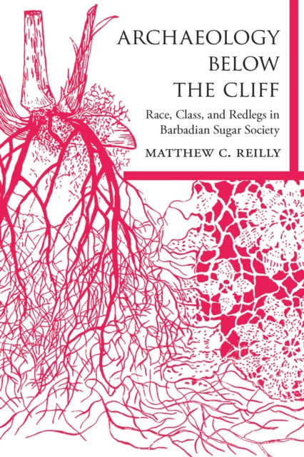 Archaeology below the Cliff : Race, Class, and Redlegs in Barbadian Sugar Society, Hardback Book