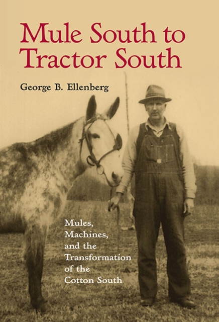 Mule South to Tractor South : Mules, Machines, and the Transformation of the Cotton South, Paperback / softback Book