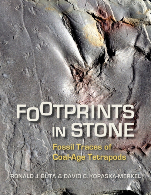 Footprints in Stone : Fossil Traces of Coal-Age Tetrapods, Paperback / softback Book
