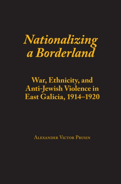 Nationalizing a Borderland : War, Ethnicity, and Anti-Jewish Violence in East Galicia, 1914–1920, Paperback / softback Book