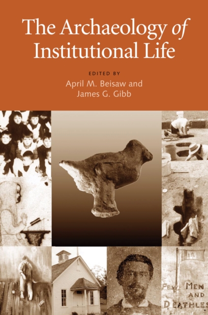 The Archaeology of Institutional Life, EPUB eBook