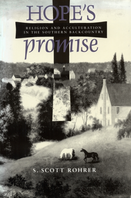 Hope's Promise : Religion and Acculturation in the Southern Backcountry, EPUB eBook