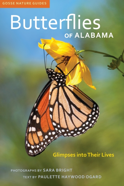 Butterflies of Alabama : Glimpses into Their Lives, EPUB eBook
