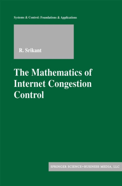 The Mathematics of Internet Congestion Control, PDF eBook