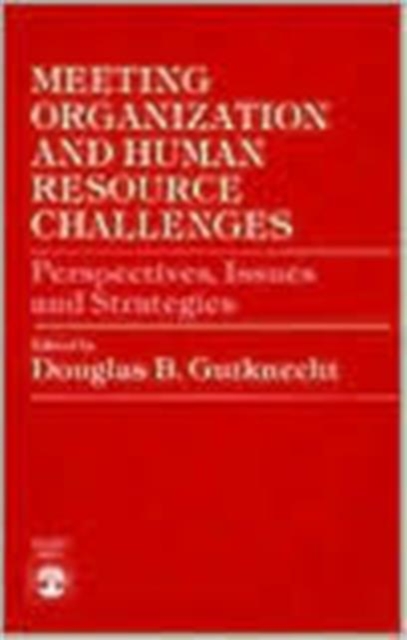 Meeting Organization and Human Resource Challenges : Perspectives, Issues and Strategies, Paperback / softback Book