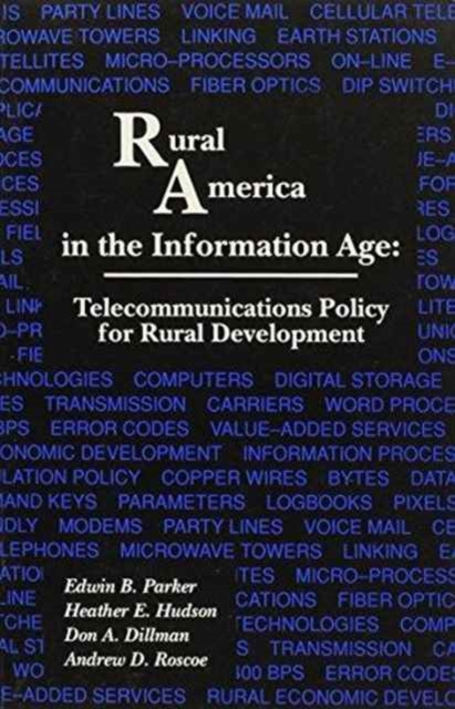 Rural America in the Information Age, Paperback / softback Book