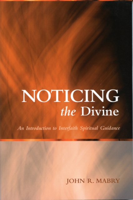 Noticing the Divine : An Introduction to Interfaith Spiritual Guidance, Paperback / softback Book