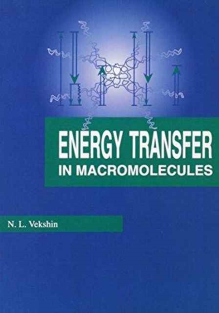 Energy Transfer in Macromolecules, Hardback Book