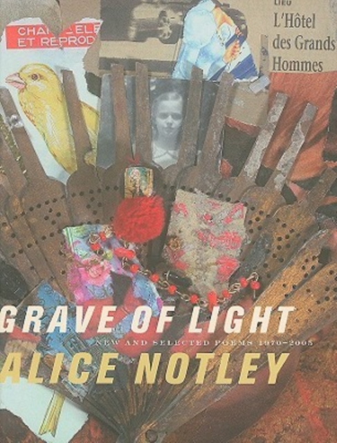 Grave of Light, Paperback / softback Book