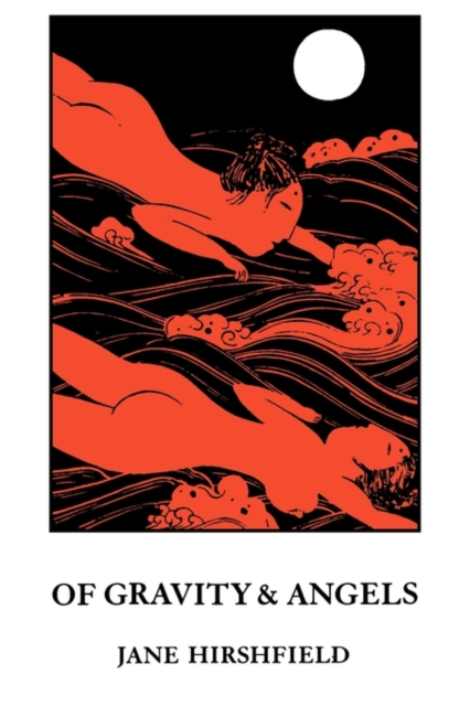 Of Gravity & Angels, EPUB eBook