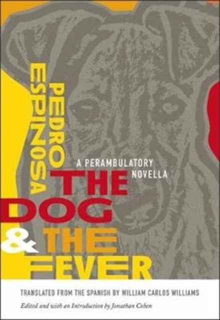 The Dog and the Fever : A Perambulatory Novella, Paperback / softback Book