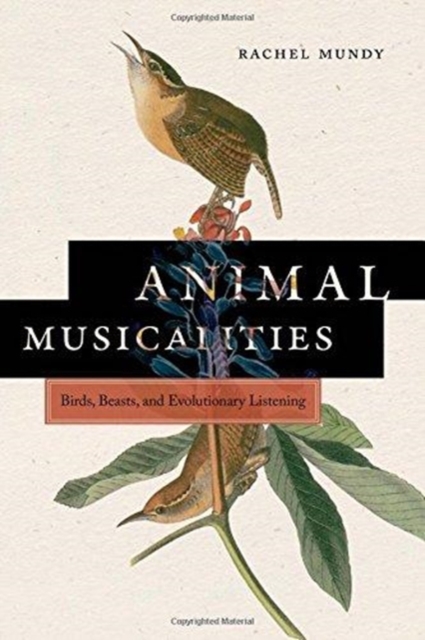 Animal Musicalities : Birds, Beasts, and Evolutionary Listening, Hardback Book