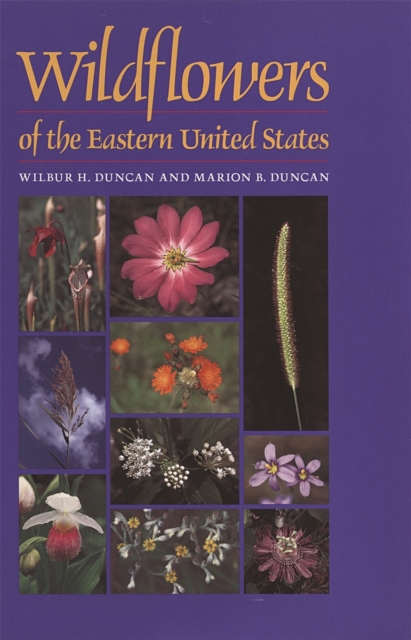 Wildflowers of the Eastern United States, Paperback / softback Book