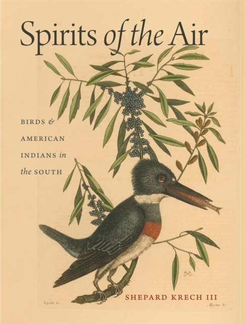 Spirits of the Air : Birds and American Indians in the South, Hardback Book