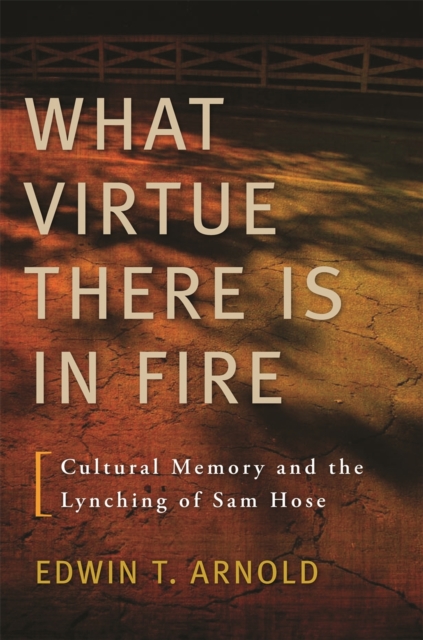 What Virtue There Is in Fire : Cultural Memory and the Lynching of Sam Hose, PDF eBook