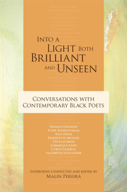 Into a Light Both Brilliant and Unseen : Conversations with Contemporary Black Poets, PDF eBook
