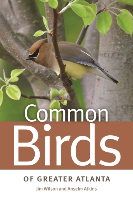 Common Birds of Greater Atlanta, Paperback / softback Book