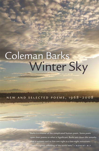 Winter Sky : New and Selected Poems, 1968-2008, Paperback / softback Book