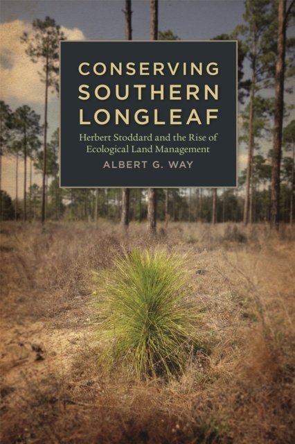 Conserving Southern Longleaf : Herbert Stoddard and the Rise of Ecological Land Management, PDF eBook
