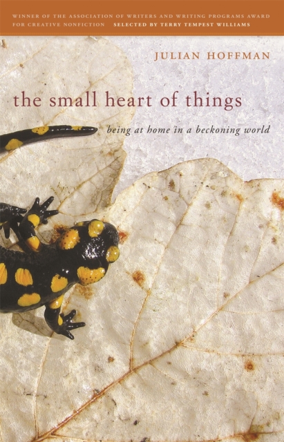 The Small Heart of Things : Being at Home in a Beckoning World, EPUB eBook