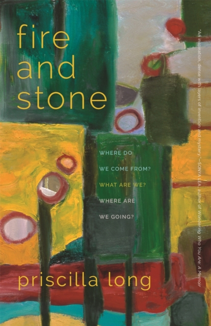 Fire and Stone : Where Do We Come From? What Are We? Where Are We Going?, EPUB eBook
