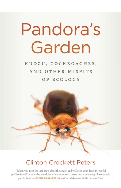 Pandora's Garden : Kudzu, Cockroaches, and Other Misfits of Ecology, Paperback / softback Book