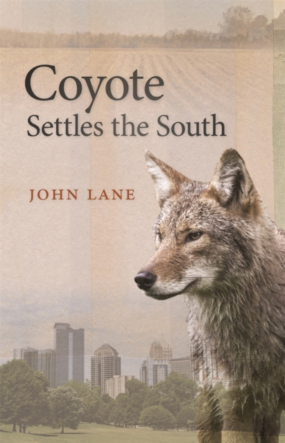 Coyote Settles the South, Paperback / softback Book