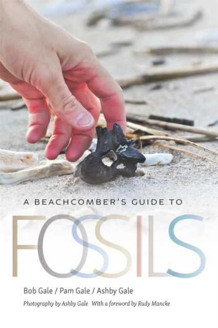 A Beachcomber's Guide to Fossils, Paperback / softback Book
