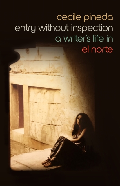 Entry without Inspection : A Writer's Life in El Norte, Paperback / softback Book