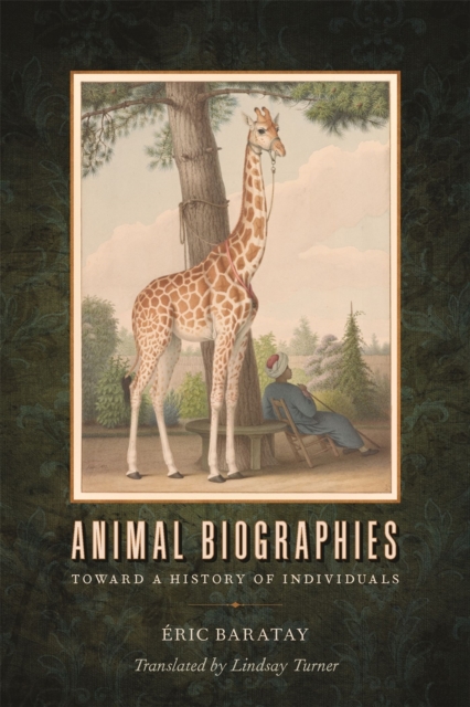 Animal Biographies : Toward a History of Individuals, Paperback / softback Book