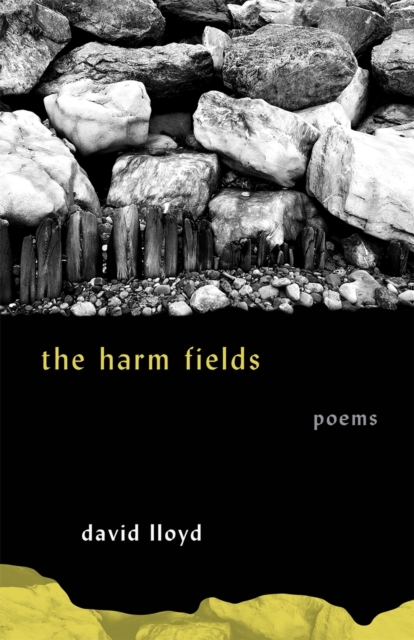 The Harm Fields : Poems, Paperback / softback Book