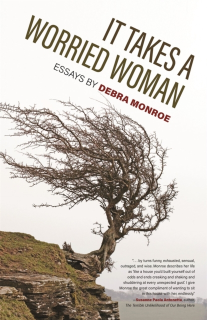 It Takes a Worried Woman : Essays, Paperback / softback Book