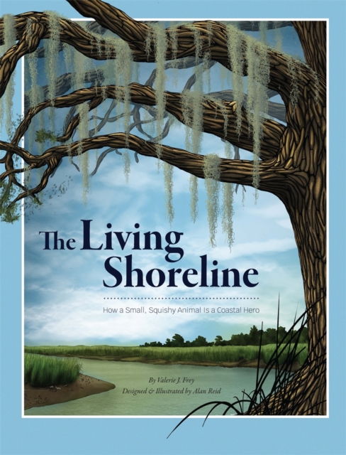 The Living Shoreline : How a Small, Squishy Animal Is a Coastal Hero, PDF eBook