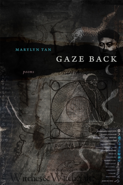 GAZE BACK : Poems, PDF eBook