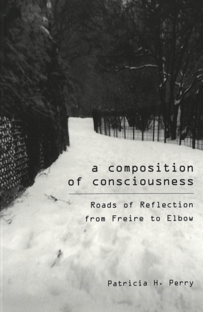A Composition of Consciousness : Roads of Reflection from Freire and Elbow, Paperback / softback Book